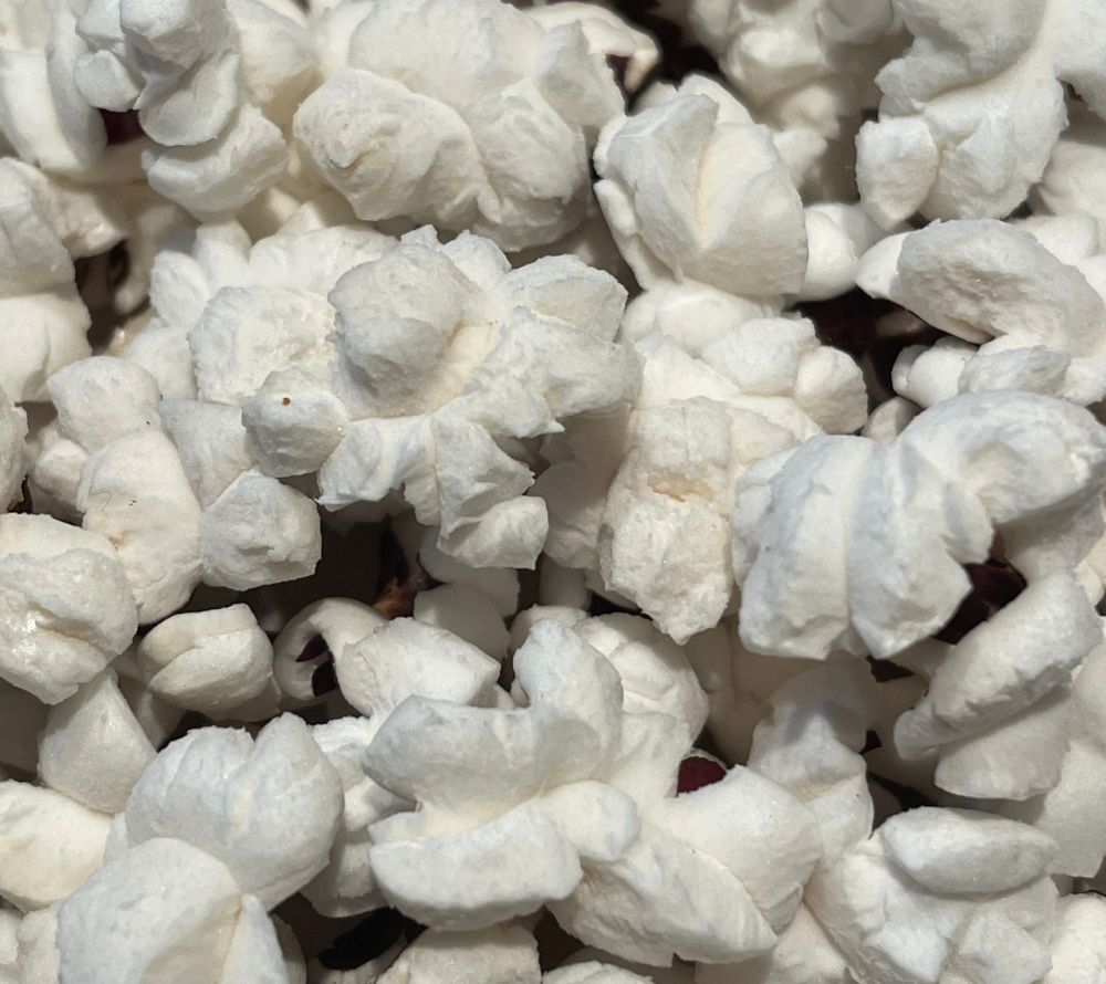 Everly Grace Christmas Crunch Popcornkörner (425 g) – Gourmet-Popcorn für festliche Snacks. Jetzt bei Ryan's Specialties B2B online kaufen & genießen!