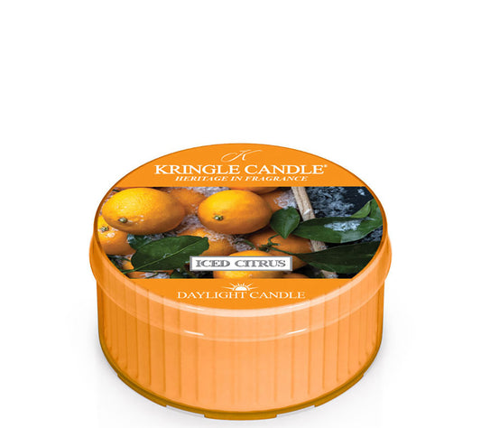 Kringle Daylight Iced Citrus von Kringle Candle kaufen | Duft: Erfrischend, zitrusartig, winterlich, belebend, herb | Brenndauer: 12 Stunden