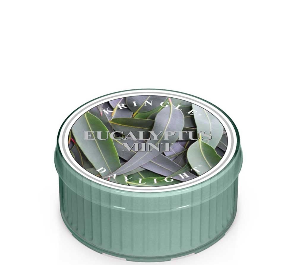 Kringle Daylight Eucalyptus Mint von Kringle Candle kaufen | Duft: Eucalyptus, Minze, Rosmarin, Moschus, Bergamotte | Brenndauer: 12 Stunden