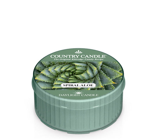 Country Daylight Spiral Aloe von Country Candle kaufen | Duft: Frisch, warm, belebend, facettenreich | Brenndauer: 12 Stunden