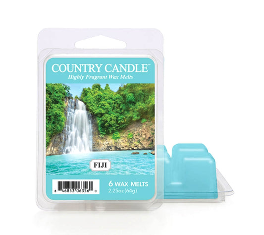 Country Wax Melts 6 pcs Fiji von Country Candle kaufen | Duft: Exotisch, blumig, fruchtig, vanillig, warm | Mehrmals schmelzbar