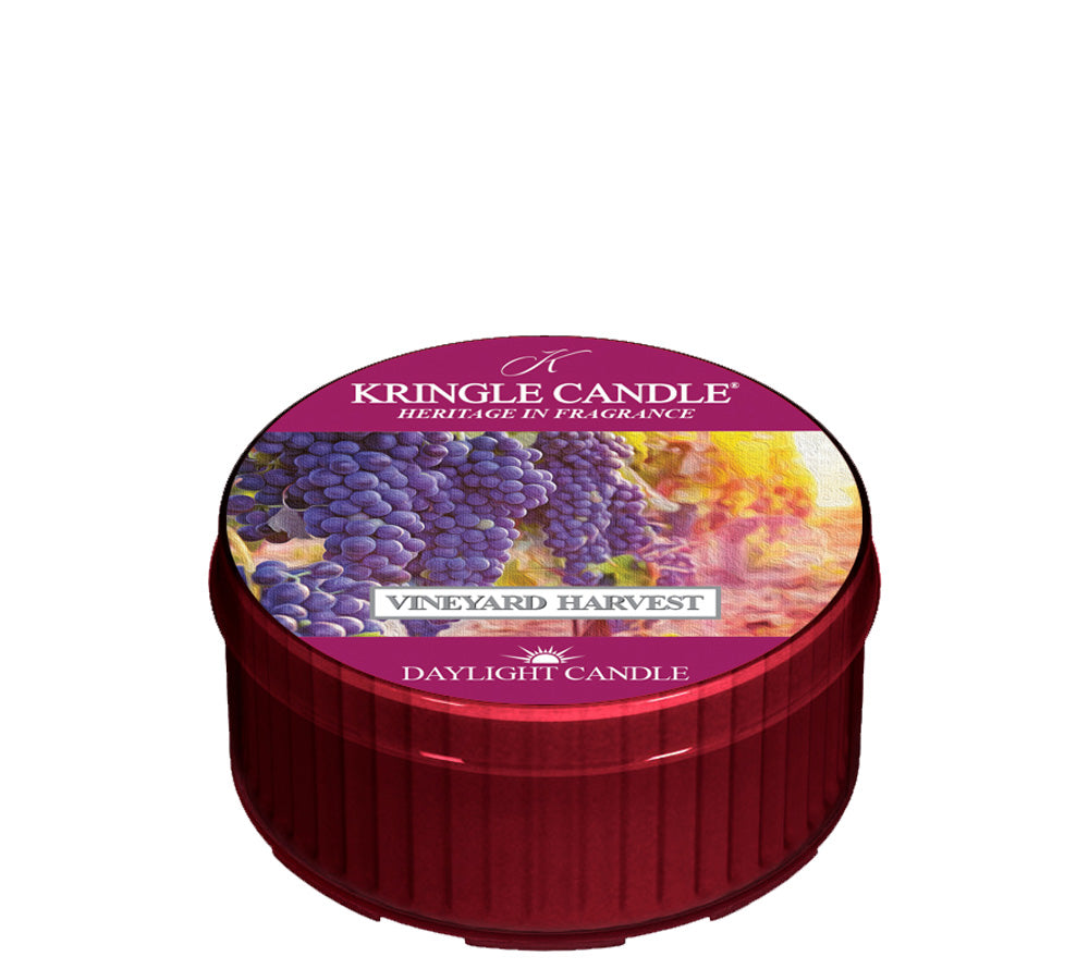 Kringle Daylight Vineyard Harvest von Kringle Candle kaufen | Duft: Zimtig, Blumig, Fruchtig, Süß, Vanille | Brenndauer: 12 Stunden