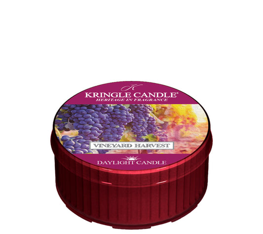 Kringle Daylight Vineyard Harvest von Kringle Candle kaufen | Duft: Zimtig, Blumig, Fruchtig, Süß, Vanille | Brenndauer: 12 Stunden
