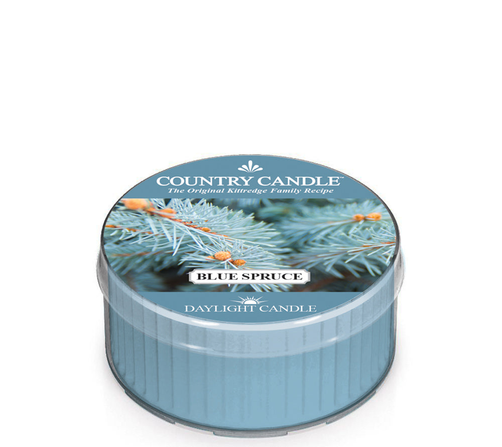 Country Daylight Blue Spruce von Country Candle kaufen | Duft: Frisch, holzig, warmer Winterwald | Brenndauer: 12 Stunden