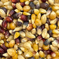 Everly Grace Pumpkin Time Popcornkörner (425 g) – Gourmet-Popcorn aus den USA. Jetzt bei Ryan's Specialties B2B online kaufen und Herbstgenuss sichern!