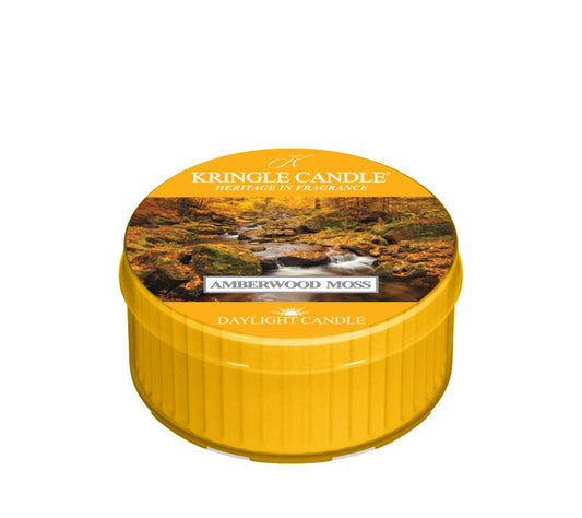 Kringle Daylight Amberwood Moss kaufen | Duft: Grüne Fougère, Tannenharz, Balsam, Moos, Amber, erdige Nuancen | Brenndauer: 12 Stunden | Jetzt bestellen!