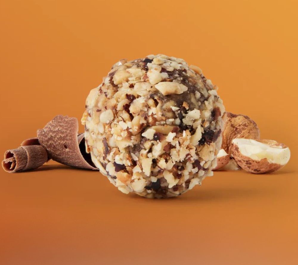 Dark Chocolate Hazelnut Bites – veganer Protein-Snack mit Haselnüssen & Zartbitterschokolade. Glutenfrei & nachhaltig produziert.