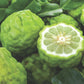 Country Candle Daylight Fresh Bergamot kaufen | Klarheit und Frische in perfekter Balance | perfekt für Kunden, die Frische mit Stil suchen