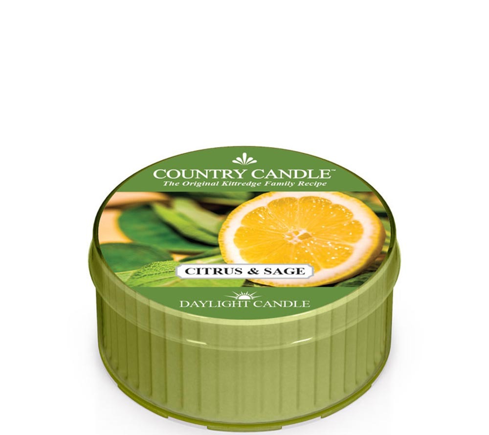 Country Daylight Citrus & Sage von Country Candle kaufen | Duft: frisch, holzig, warm, würzig, belebend | Brenndauer: 12 Stunden