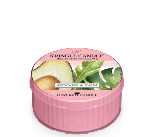 Kringle Daylight Avocado & Palm von Kringle Candle kaufen | Duft: frisch, fruchtig, Melone, Avocado | Brenndauer: 12 Stunden