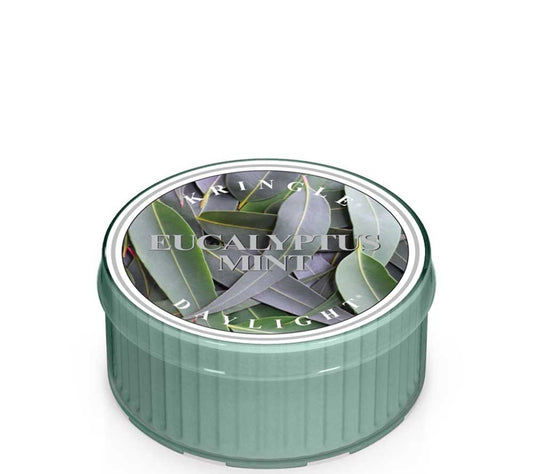 Kringle Daylight Eucalyptus Mint von Kringle Candle kaufen | Duft: Eucalyptus, Minze, Rosmarin, Moschus, Bergamotte | Brenndauer: 12 Stunden