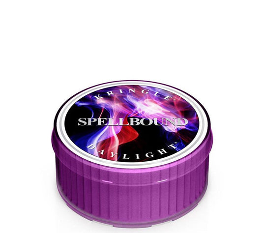 Kringle Daylight Spellbound von Kringle Candle kaufen | Duft: Beeren, Zitrus, Blüten, Moschus, Cremig | Brenndauer: 12 Stunden