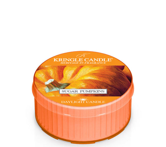 Kringle Daylight Sugar Pumpkins von Kringle Candle kaufen | Duft: Zimtig, Zitrus, Vanille, Kürbis | Brenndauer: 12 Stunden