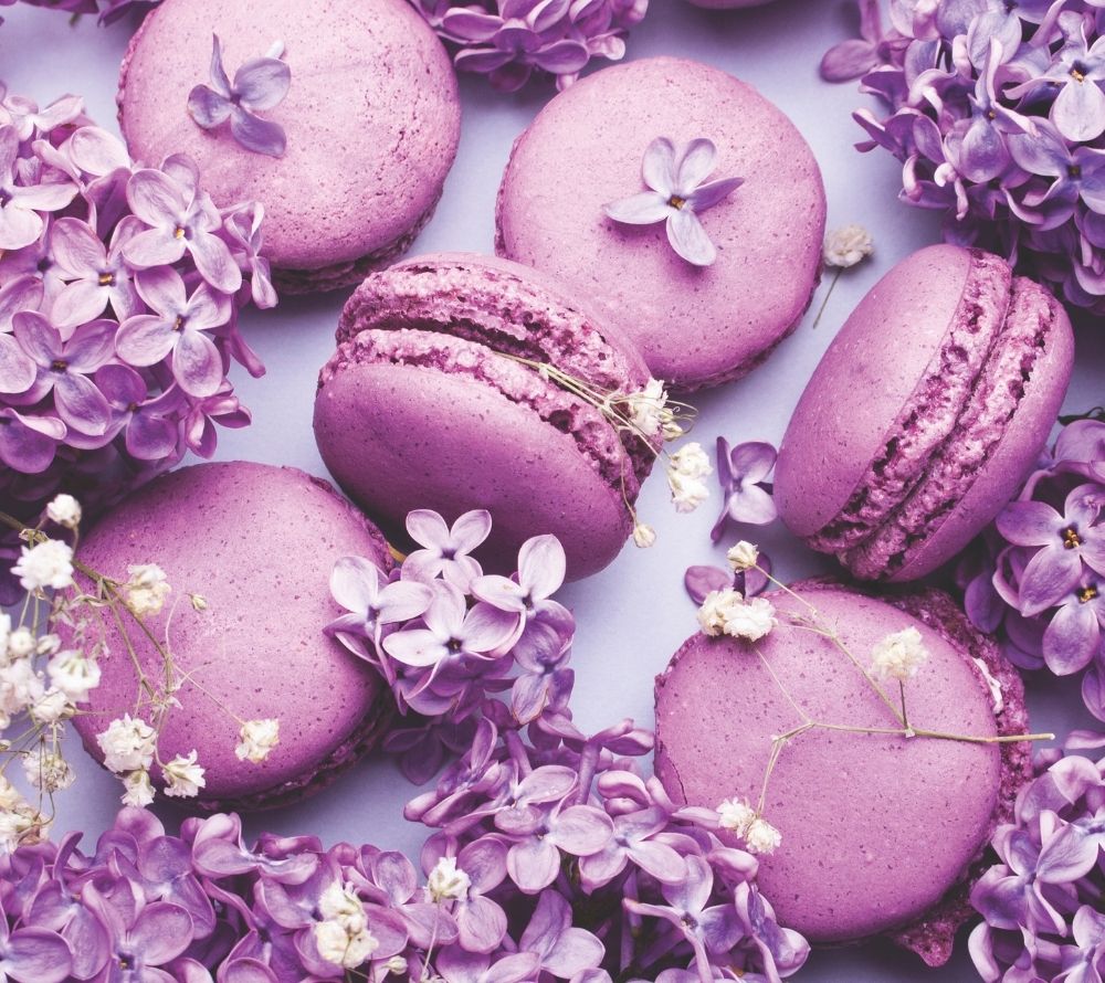 Country Candle Daylight Lilac Macaron kaufen | Floral- und Gourmandnoten | Ideal für Frühling, Muttertag & Geschenkaktionen