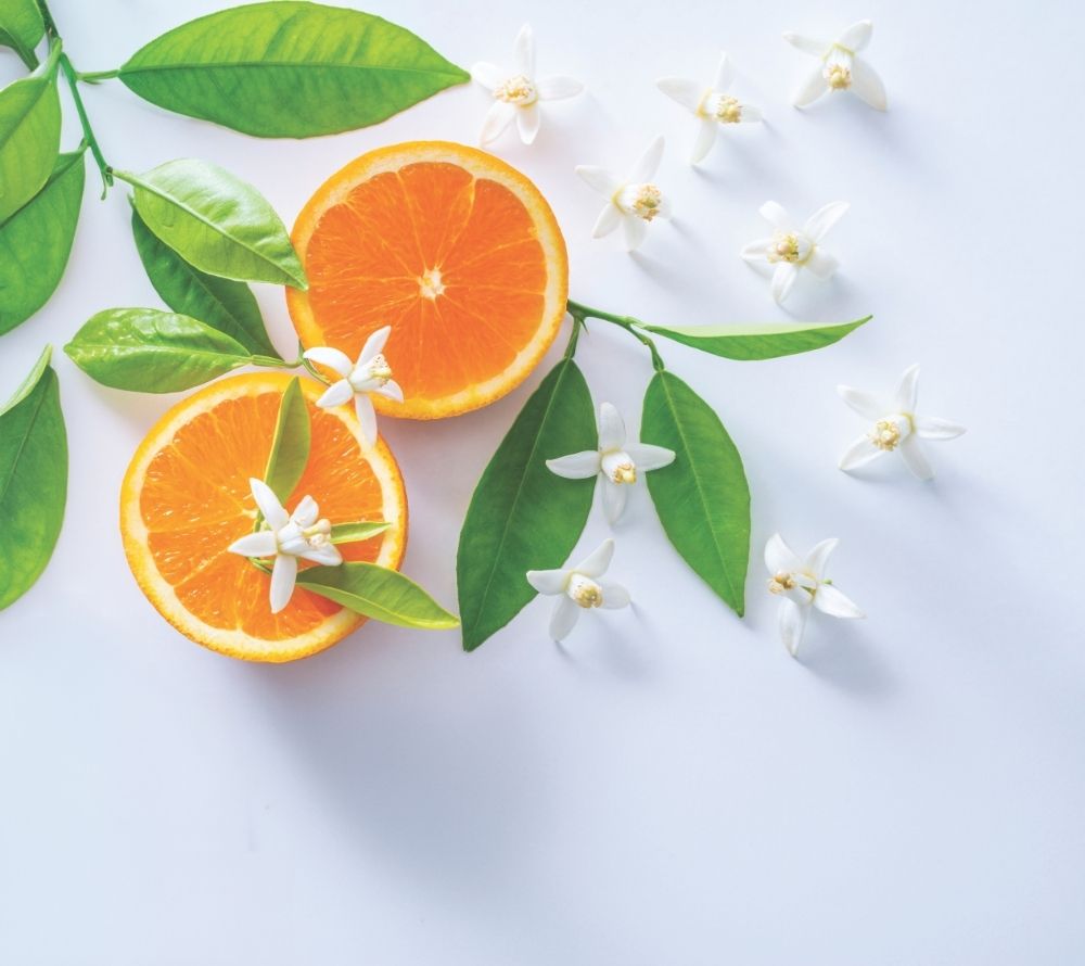 Country Candle Daylight Mandarin Petals kaufen | fruchtige Leichtigkeit und floraler Akzent | für Frühjahrs- und Sommerkollektionen