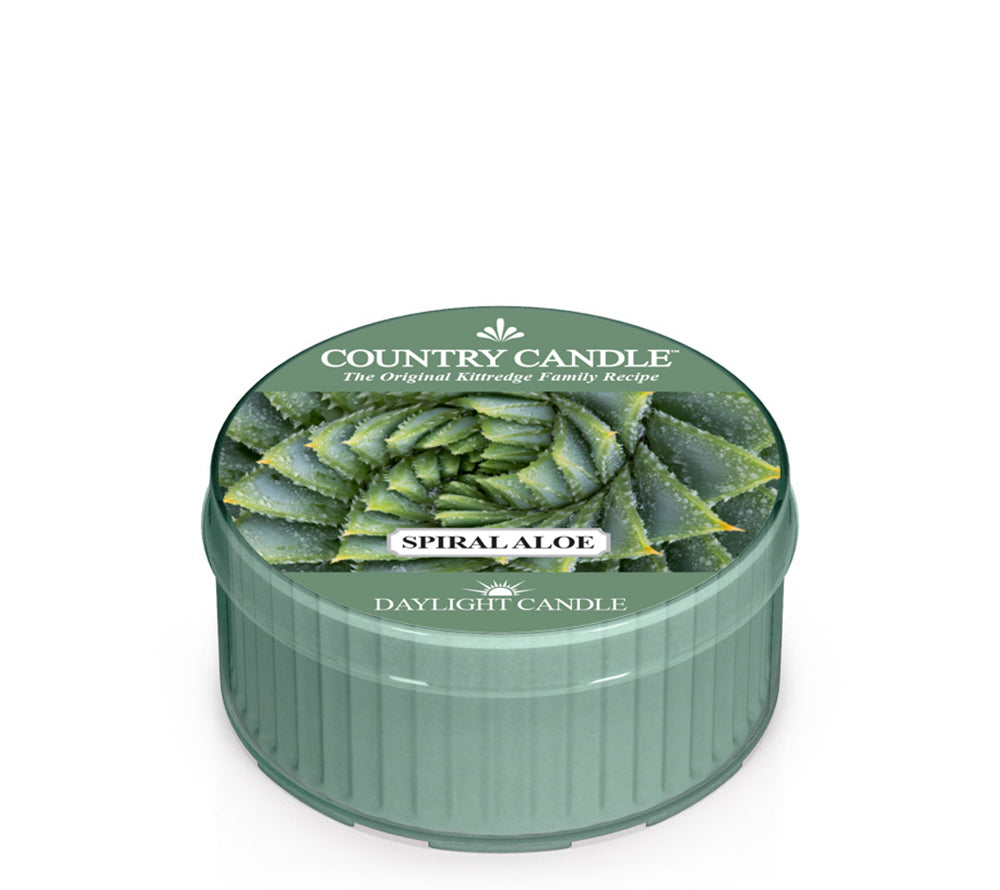 Country Daylight Spiral Aloe von Country Candle kaufen | Duft: Frisch, warm, belebend, facettenreich | Brenndauer: 12 Stunden