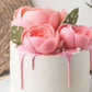 Country Candle Daylight Sugared kaufen | für Liebhaber floraler Kompositionen | Ideal für Frühling, Valentinstag, Hochzeits-Sortimente