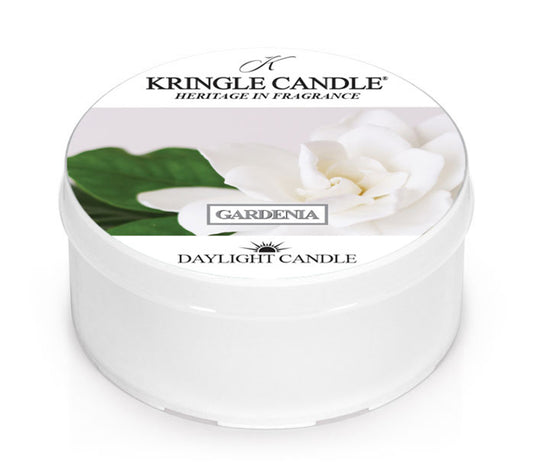 Kringle Daylight Gardenia