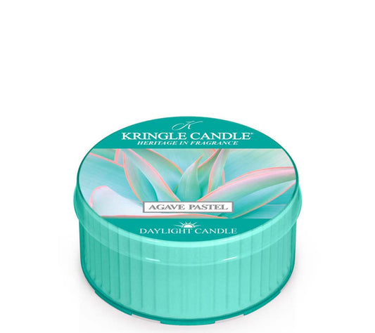 Kringle Daylight Agave Pastel von Kringle Candle kaufen | Duft: Zitrus, fruchtig, blumig, würzig, Seeluft | Brenndauer: 12 Stunden 