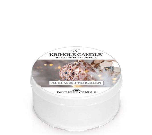 Kringle Daylight Aurum & Evergreen von Kringle Candle kaufen | Duft: Fruchtige Frische, festlich, Evergreen | Brenndauer: 12 Stunden