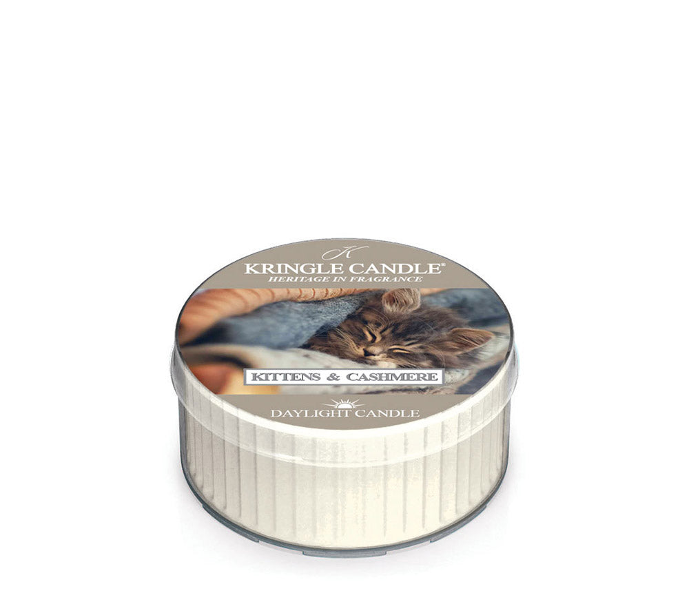 Kittens & Cashmere von Kringle Candle | Idealer Herbstduft für Ihr Sortiment | Ausgezeichnete Ergänzung für saisonale Kerzensortimente