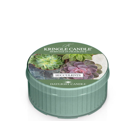 Kringle Daylight Succulents von Kringle Candle kaufen | Duft: Floral, maskulin, erdig, Nelken, Weihrauch | Brenndauer: 12 Stunden 