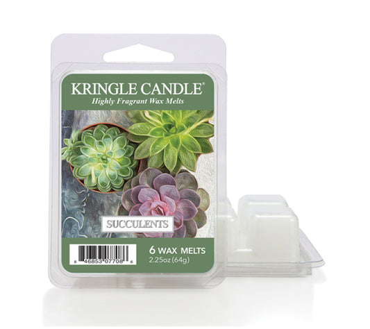Kringle Wax Melts 6 pcs Succulents von Kringle Candle kaufen | Duft: Floral, maskulin, erdig, Nelken, Weihrauch | Mehrmals schmelzbar