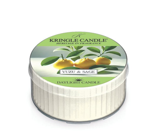 Kringle Candle Daylight Yuzu & Sage kaufen | Frische trifft Kräuteraroma | belebende, fruchtige Nuancen | für alle die Zitrusdüfte lieben